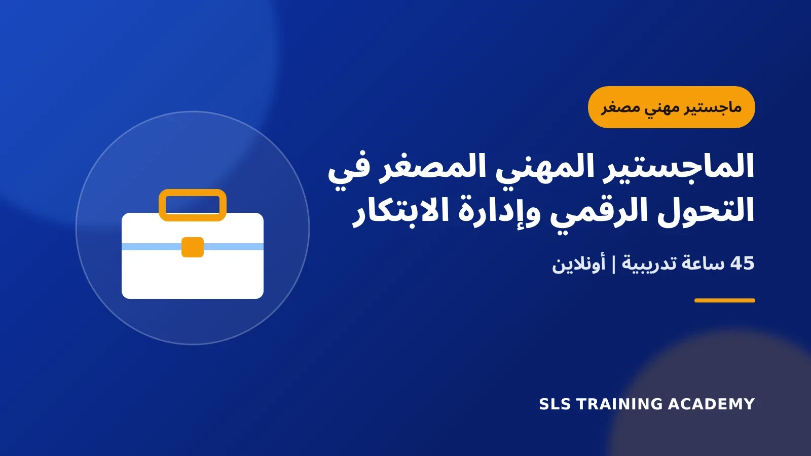 الماجستير المهني المصغر في التحول الرقمي وإدارة الابتكار