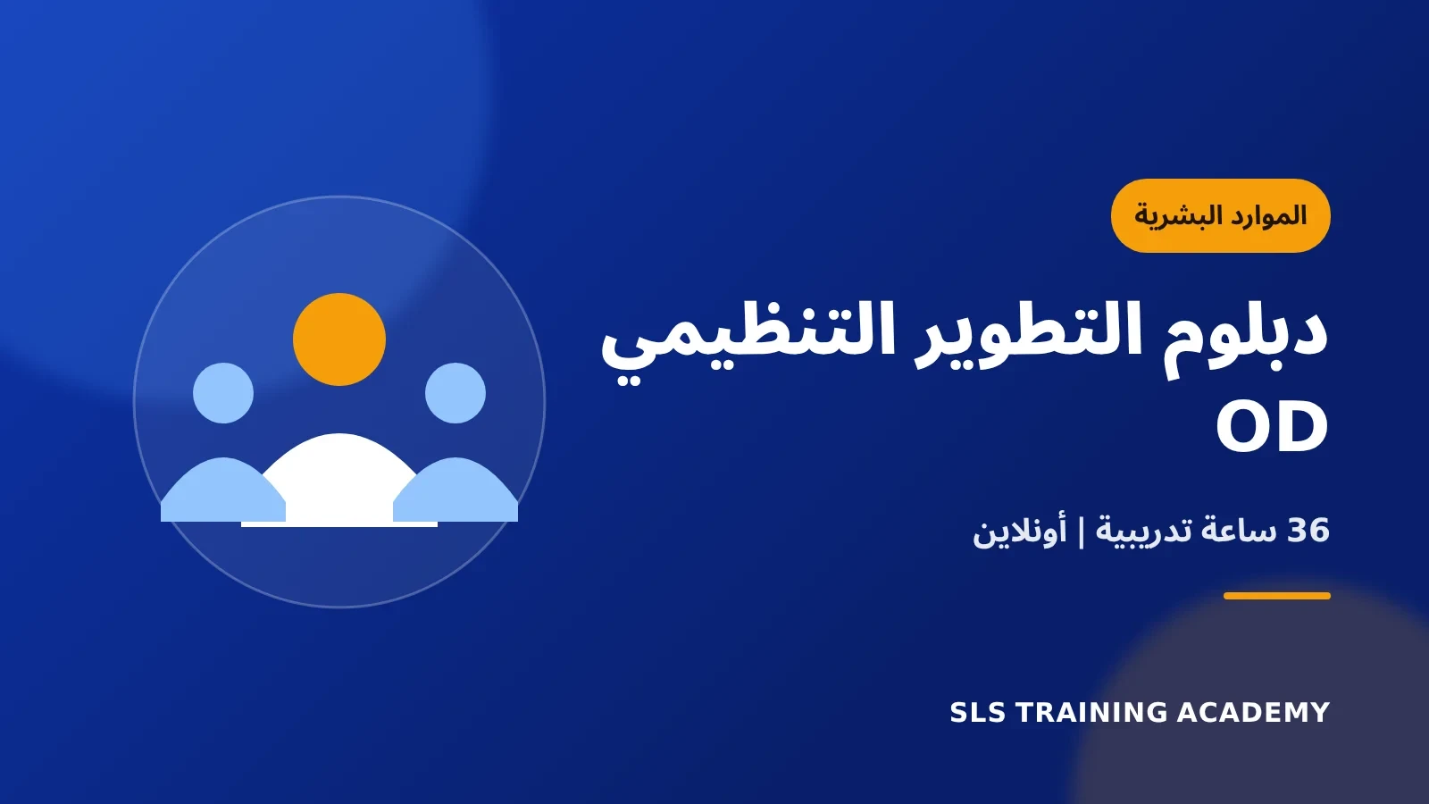 دبلوم التطوير التنظيمي OD