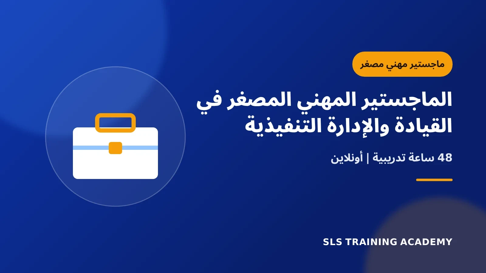 الماجستير المهني المصغر في القيادة والإدارة التنفيذية