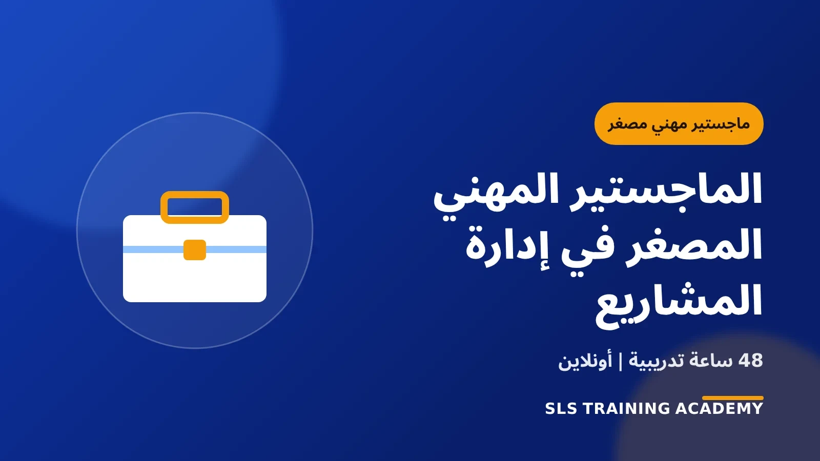 الماجستير المهني المصغر في إدارة المشاريع