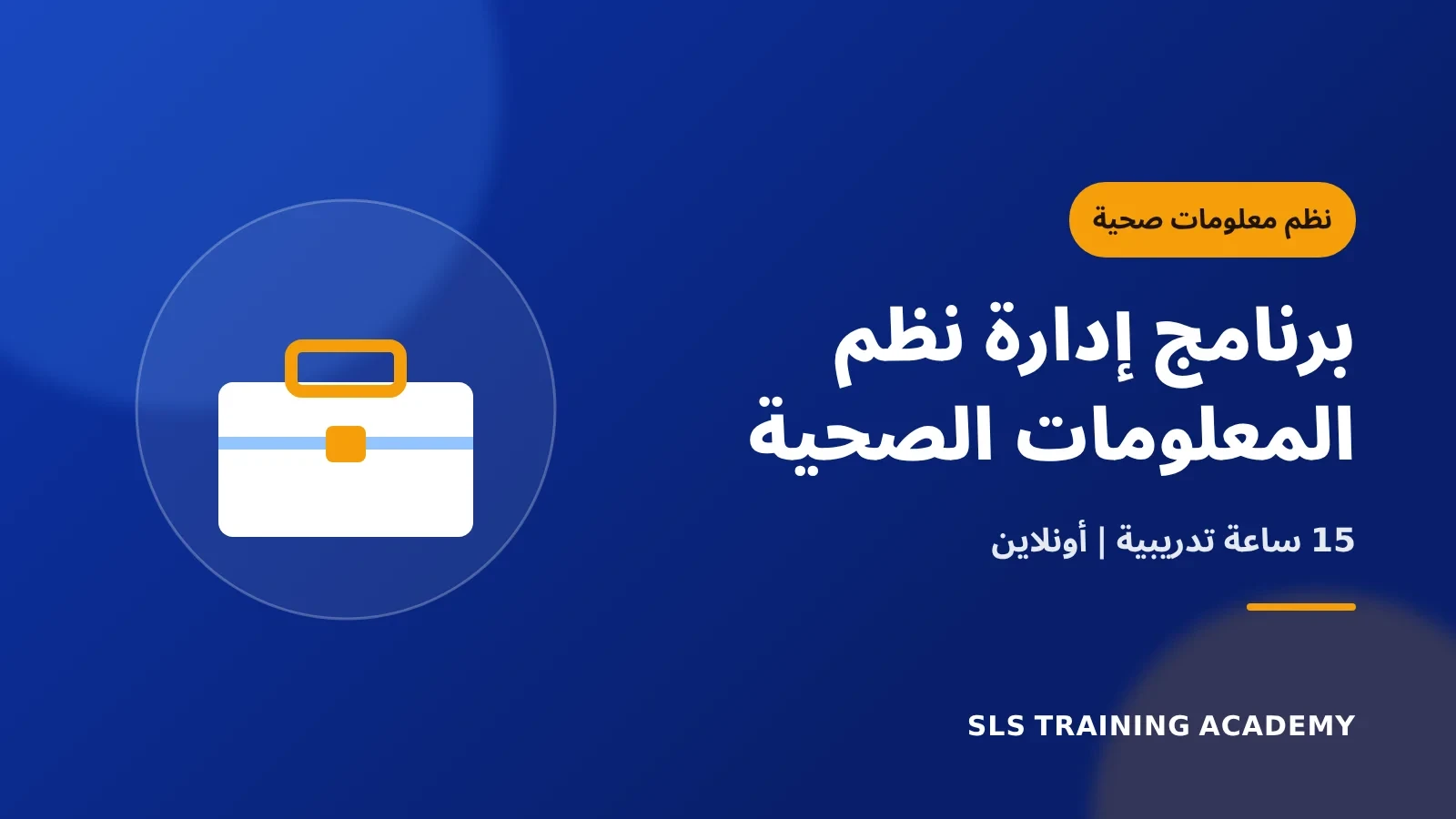 برنامج إدارة نظم المعلومات الصحية