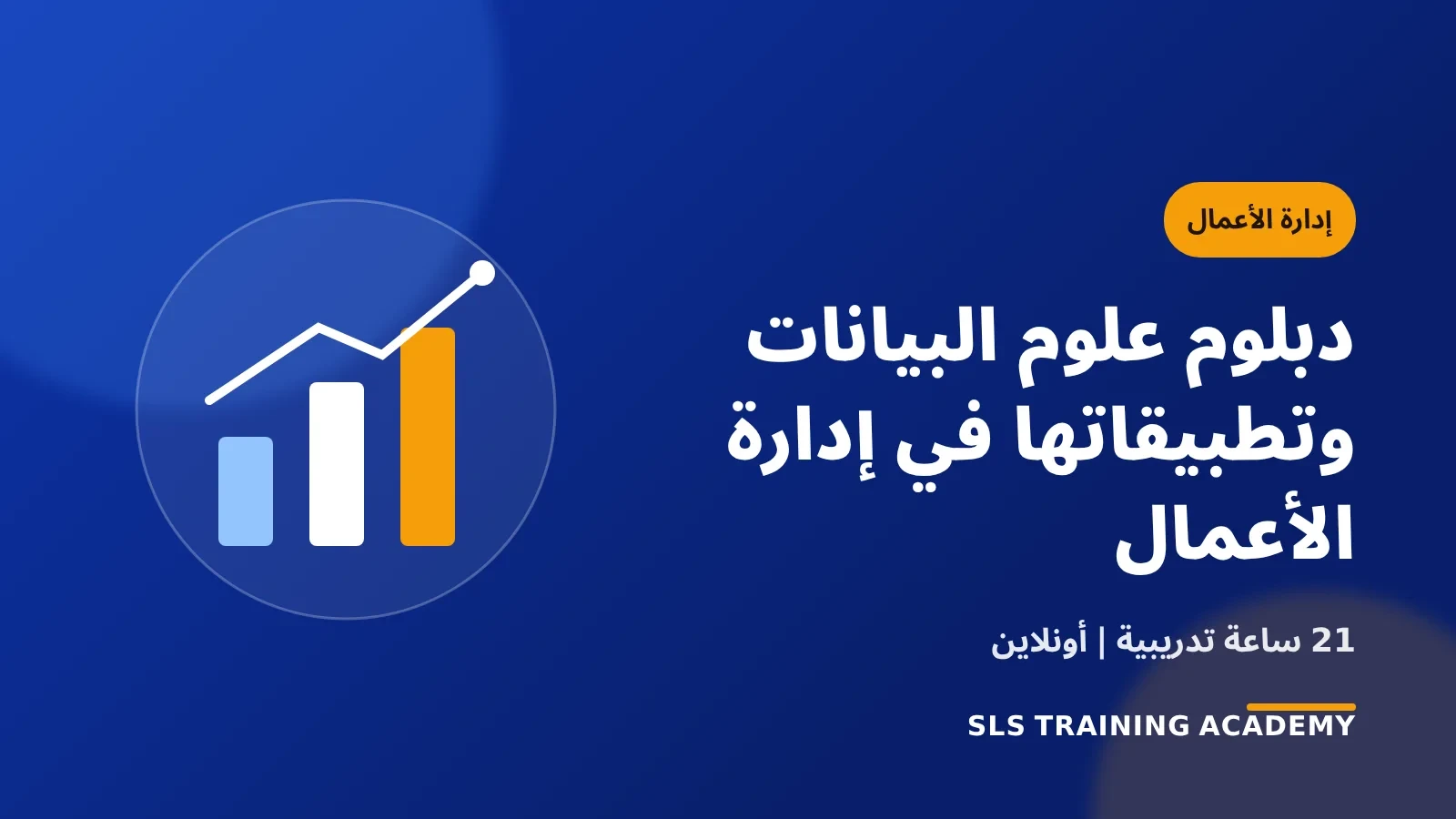 دبلوم علوم البيانات وتطبيقاتها في إدارة الأعمال