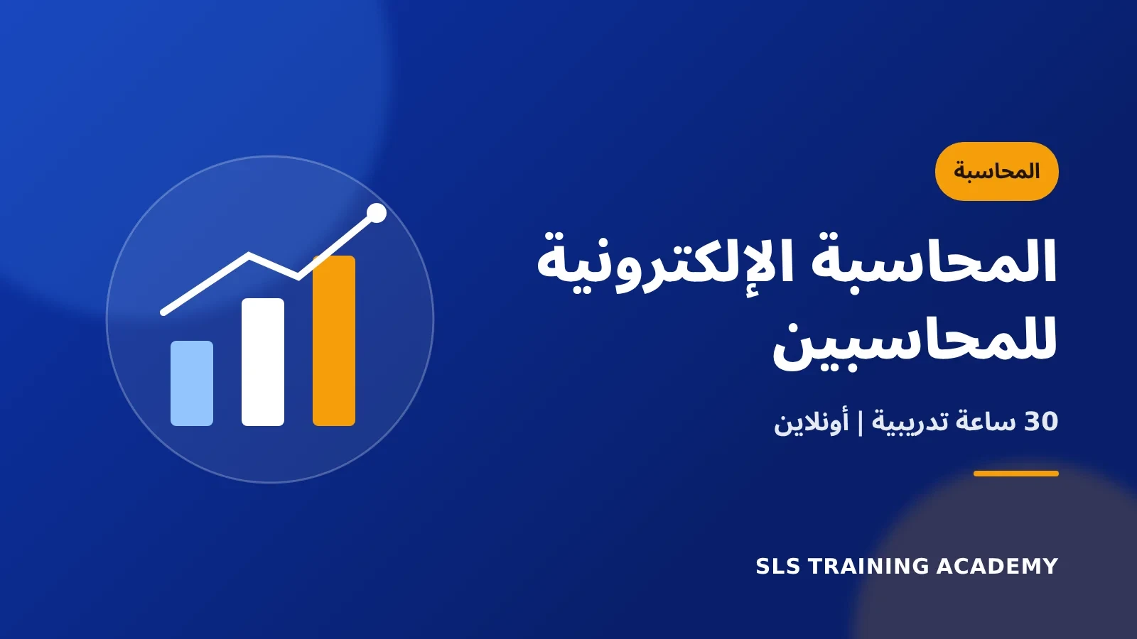 دورة المحاسبة الالكترونية للمحاسبين