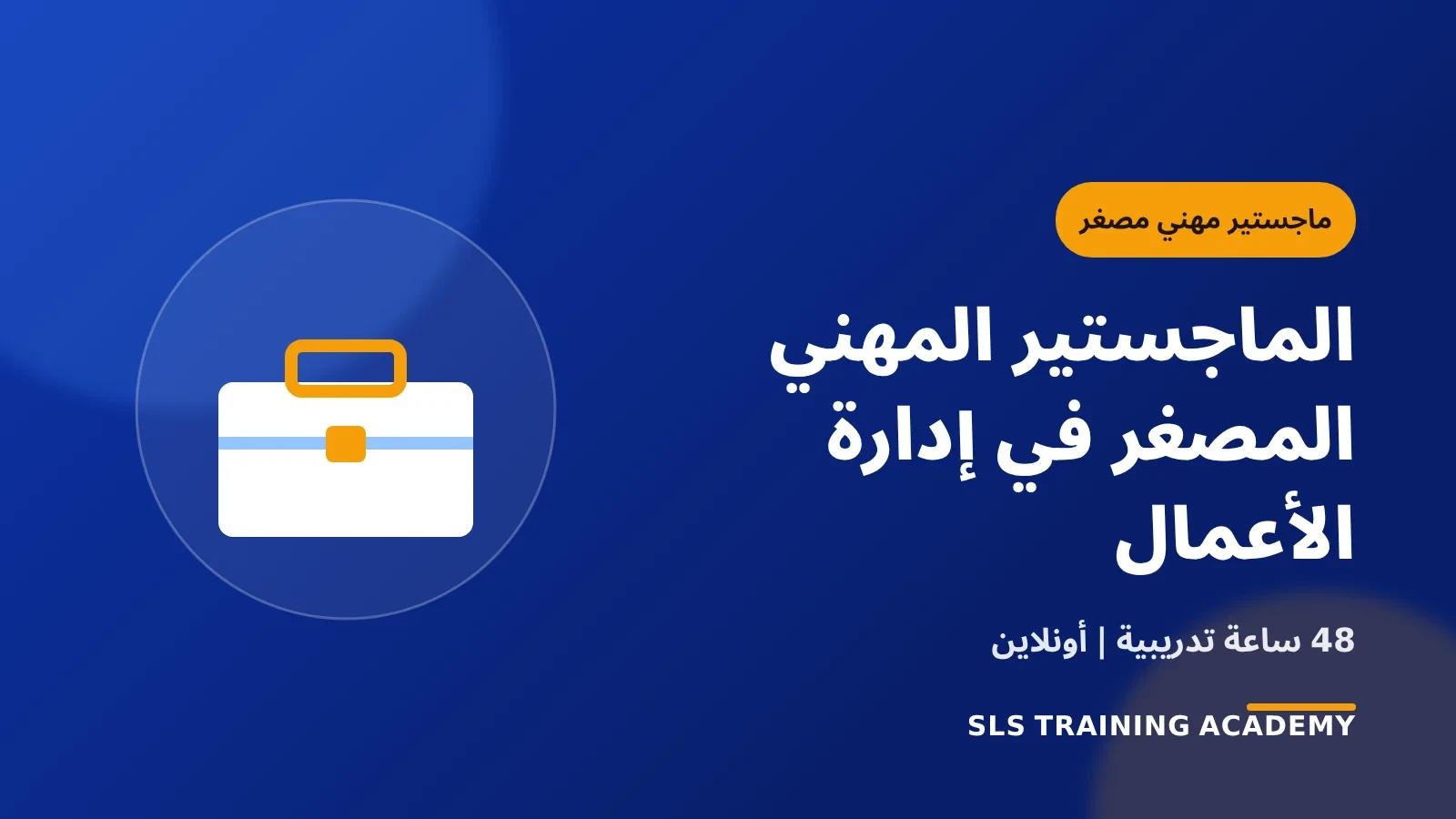الماجستير المهني المصغر في إدارة الأعمال