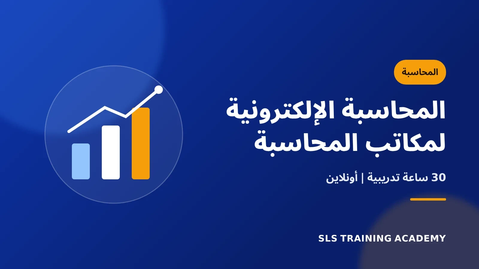 كورس المحاسبة الإلكترونية لمكاتب المحاسبة والمراجعة