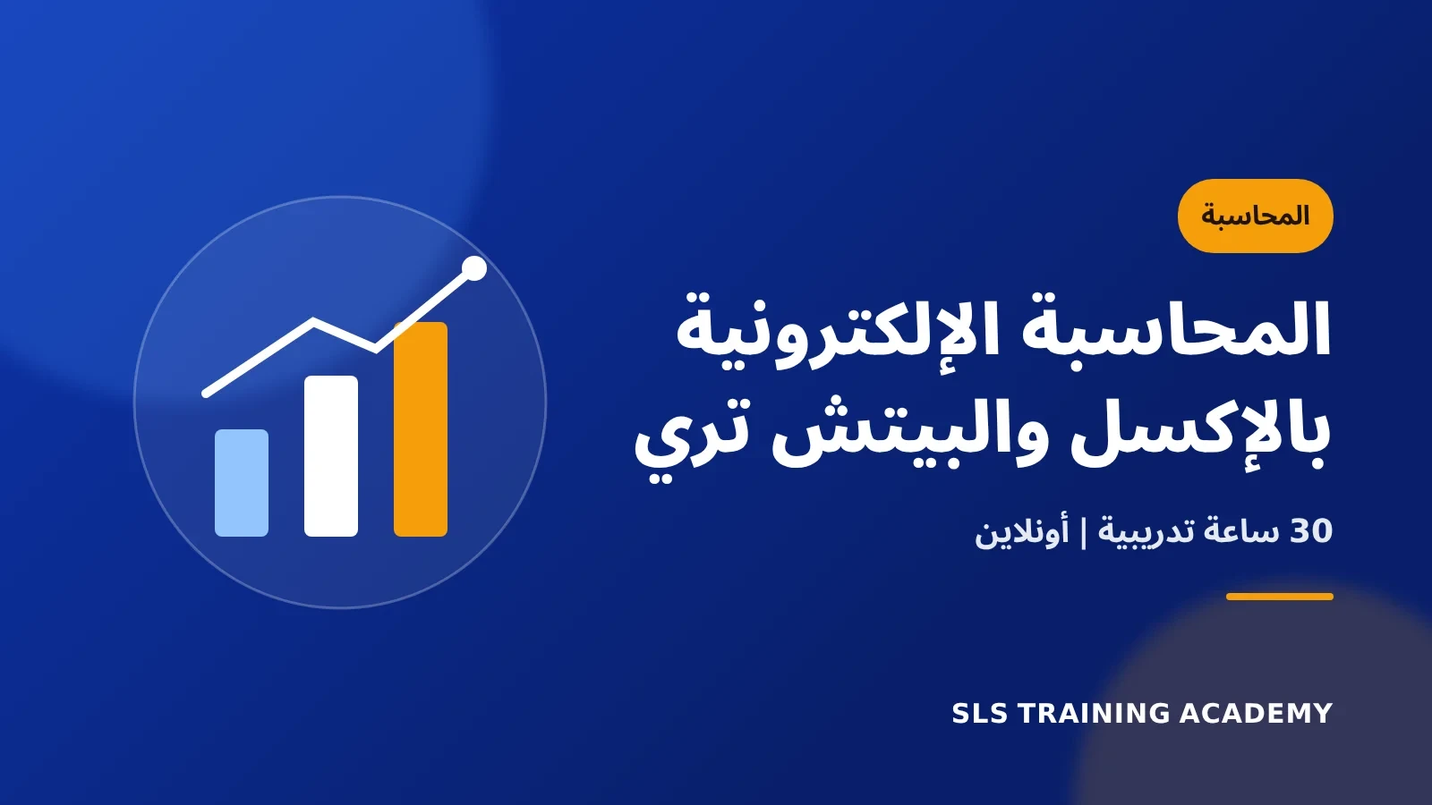 كورس المحاسبة الإلكترونية باستخدام برنامجي الاكسل والبيتش تري