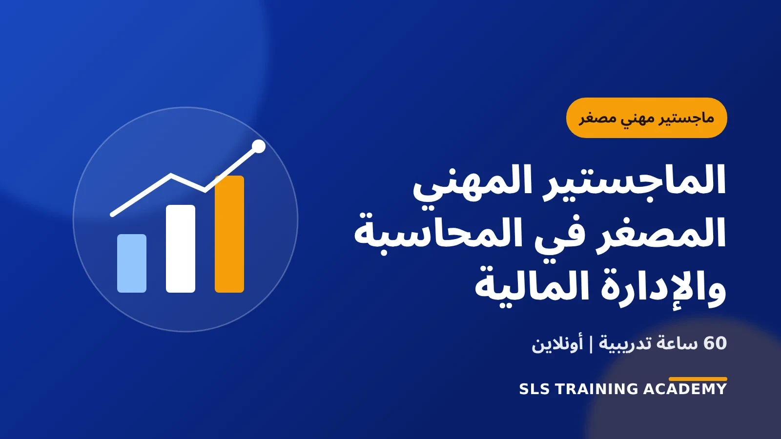 الماجستير المهني المصغر في المحاسبة والادارة المالية