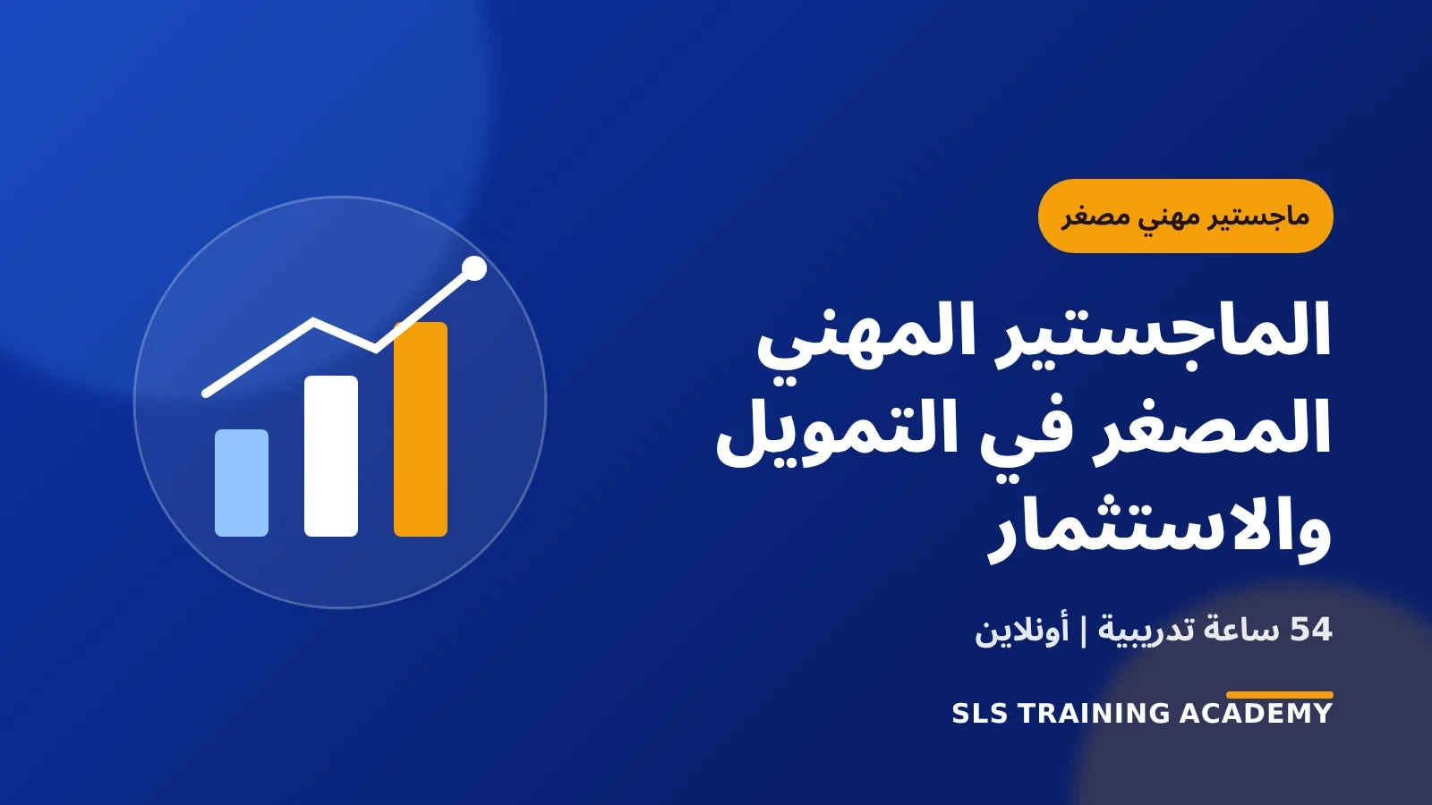 الماجستير المهني المصغر في التمويل والاستثمار